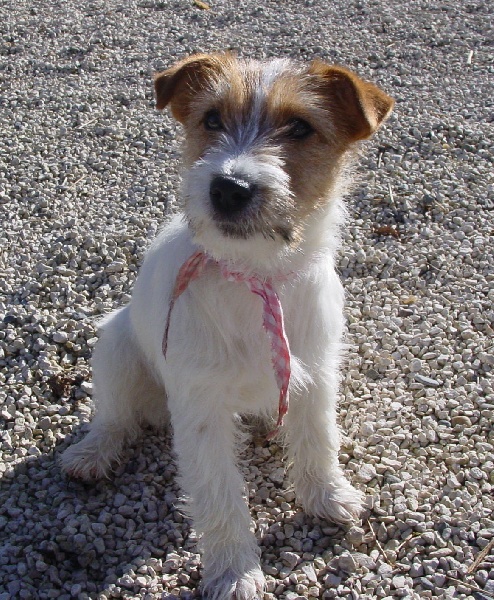 Publication : Jack Beauty Auteur : Jack Beauty