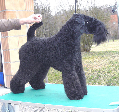 Publication : Setextra 