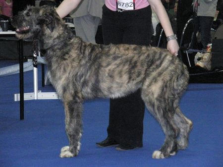 Publication : zlata dolina Auteur : Svatoslava Kovarova