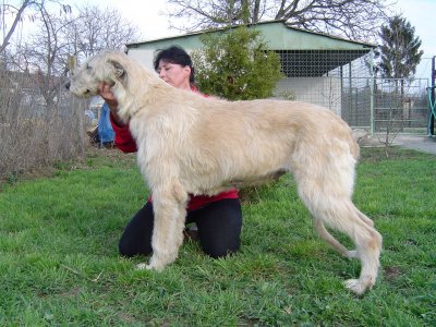 Publication : zlata dolina Auteur : Svatoslava Kovarova