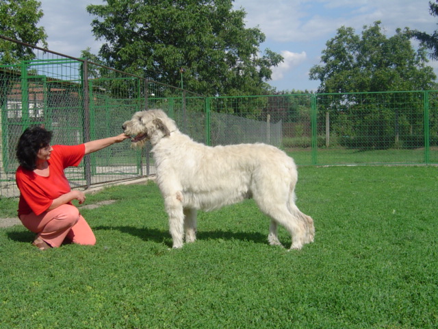 Publication : zlata dolina Auteur : Svatoslava Kovarova