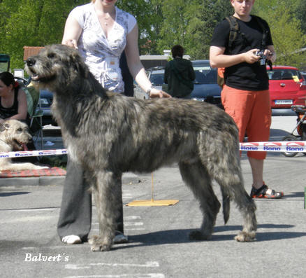 Publication : zlata dolina Auteur : Svatoslava Kovarova