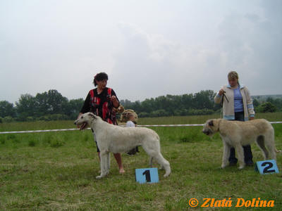 Publication : zlata dolina Auteur : Svatoslava Kolarova