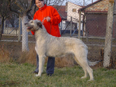 Publication : zlata dolina Auteur : Svatoslava Kovarova