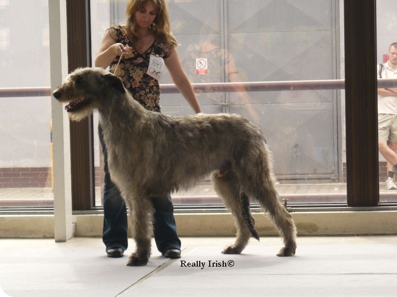 Publication : zlata dolina Auteur : Svatoslava Kovarova