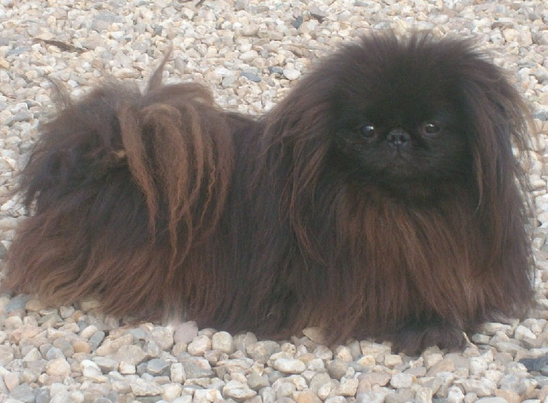 Publication : du jardin de vatsana