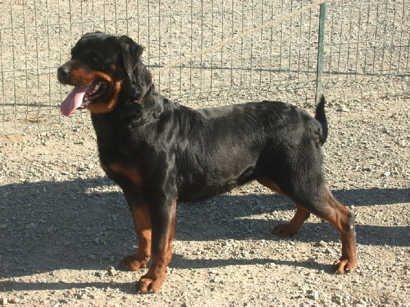 Bea des Rotts de la Baronnie