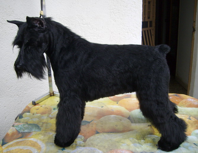 Publication : wonderful can