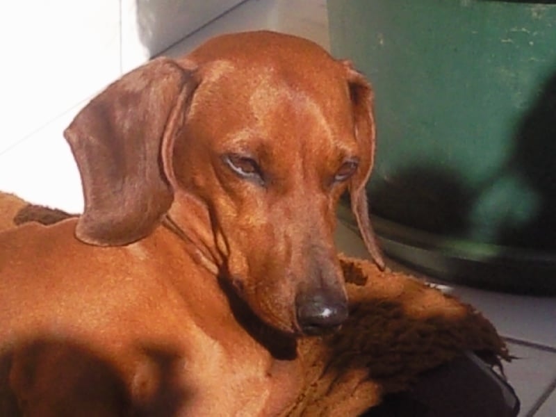 Publication : des Emondines Auteur : Michèle Giraud