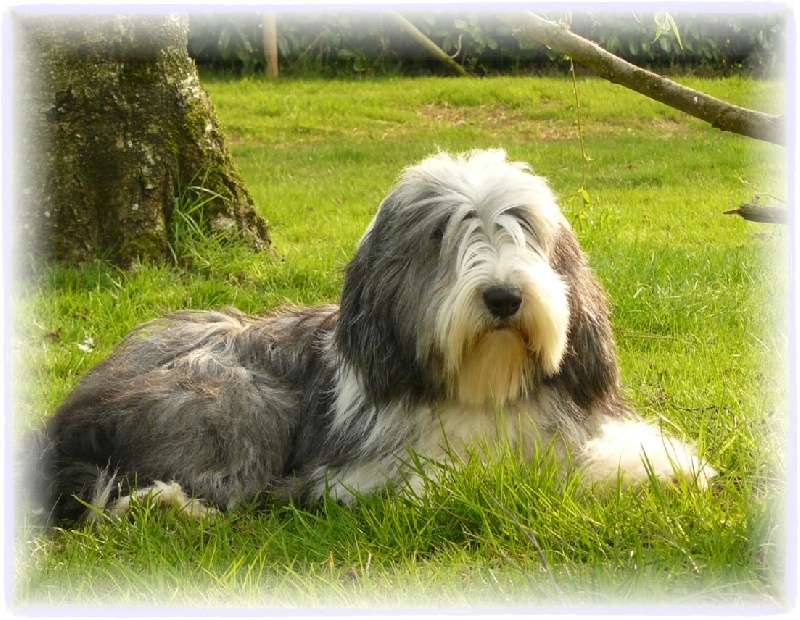 Publication : of Blue Eden Auteur : C. Froidure