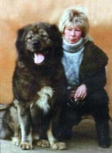 CH. Risk (Sans Affixe)