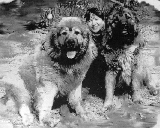 Platina karat (Sans Affixe)