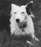 Bethan isds 131414 bwlch