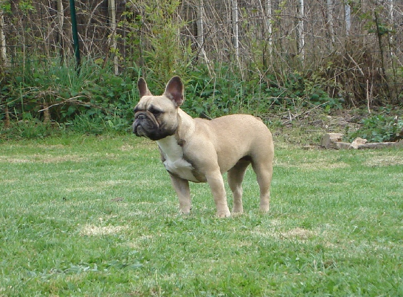 Publication : de l'Empreinte de Cabal Auteur : L'Empreinte de Cabal