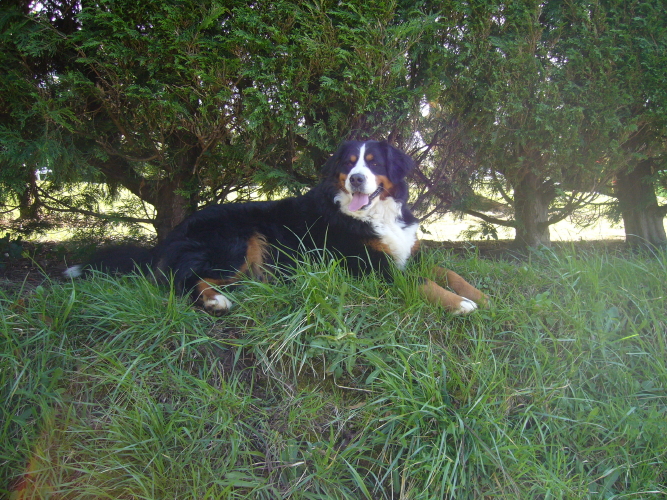 Publication : del Culebre Auteur : Gutierrez Gimeno Leticia