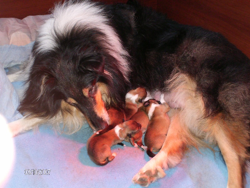 My Lovely Shadow Carlabruni