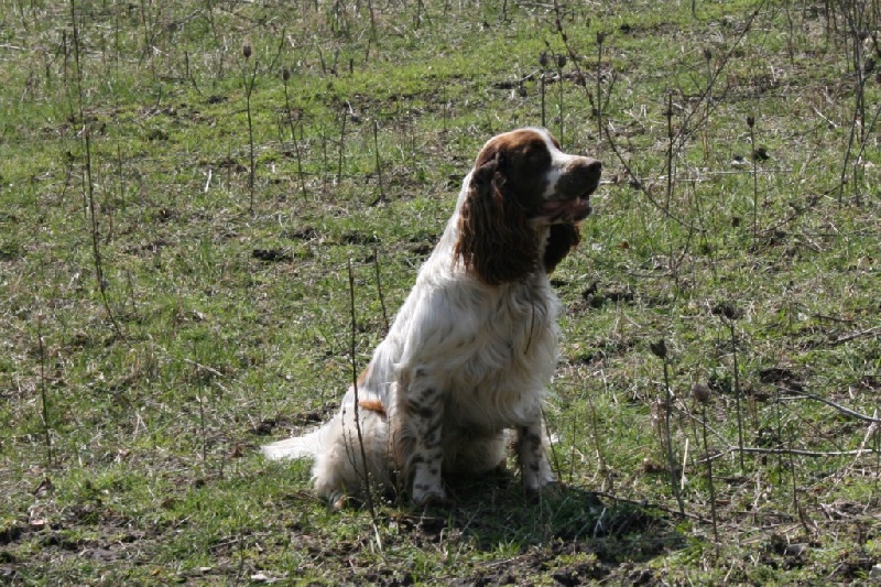 Dany boon du Chemin Aux Herbes Folles