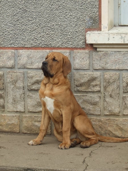 Publication : Des hauts de chevannes Auteur : michele