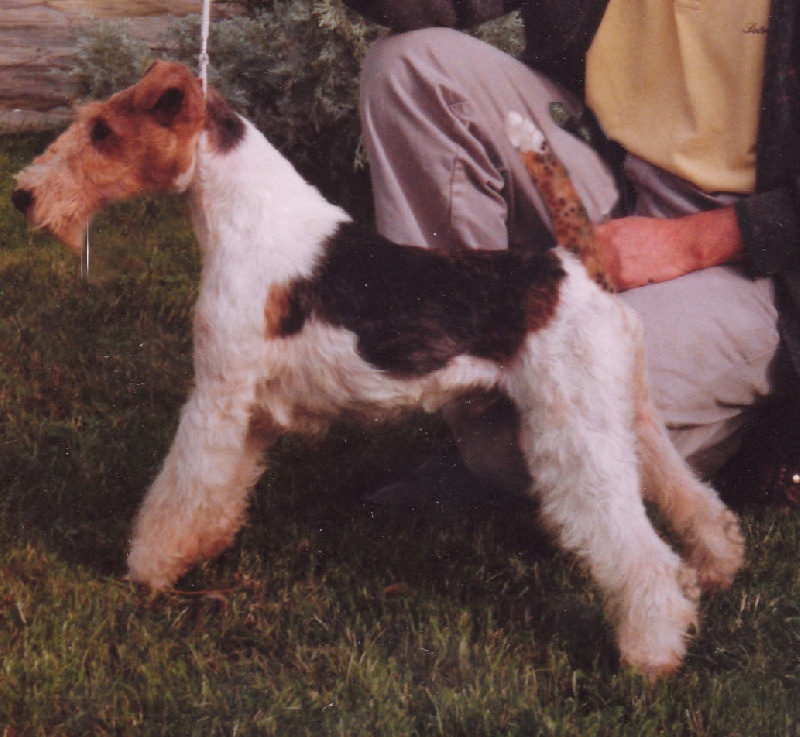 Garbo De la barriere rouge