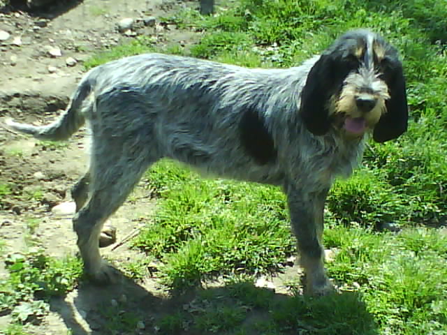 Publication : des hauts de bogues 