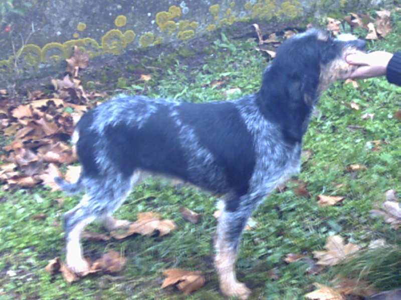 Uraya des hauts de bogues