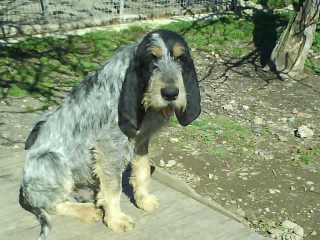 Drop des hauts de bogues