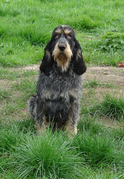 Publication : de la vallée du frout 