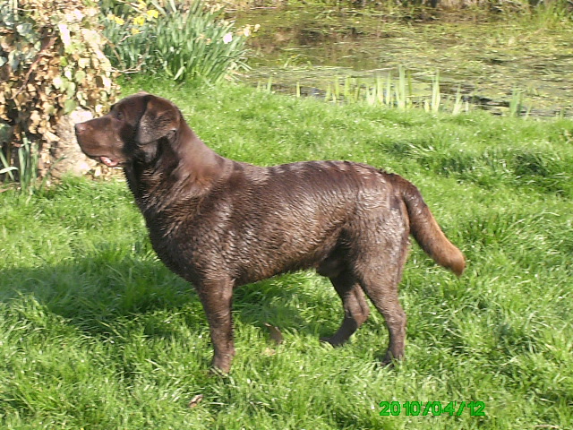 Publication : Miodyca Auteur : JM DIA