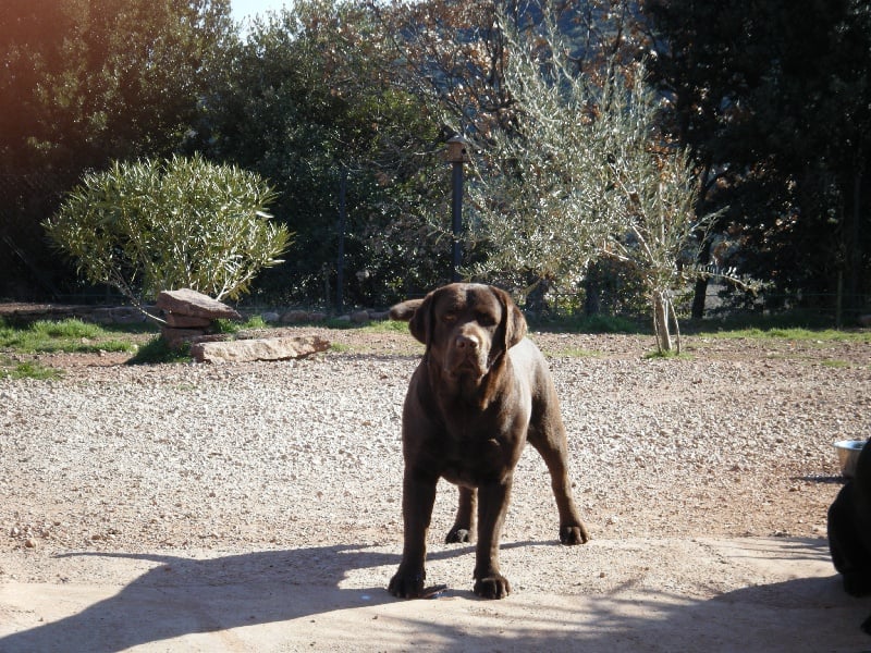 Publication : de la Petite Garrigue 