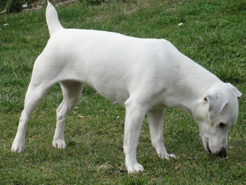 Publication : des champs de l'Aisne Auteur : Florence ORTHON