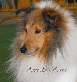 Publication : d'Ares da Serra 