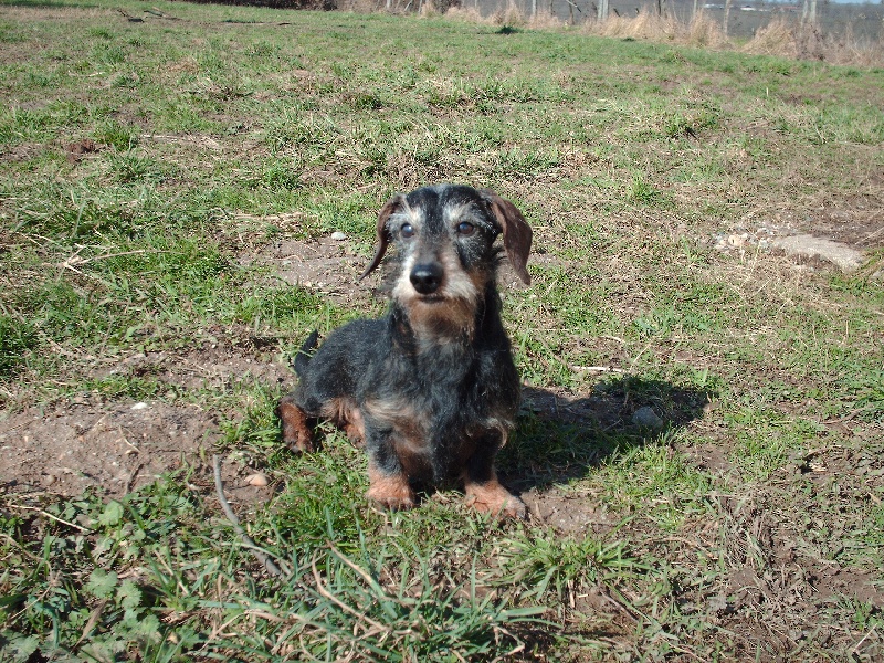 Publication : du fond des abyss Auteur : BALLEREAU NADIA