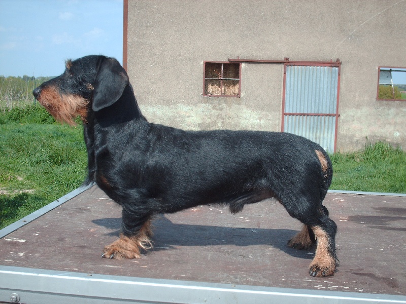 Publication : du fond des abyss Auteur : BALLEREAU NADIA