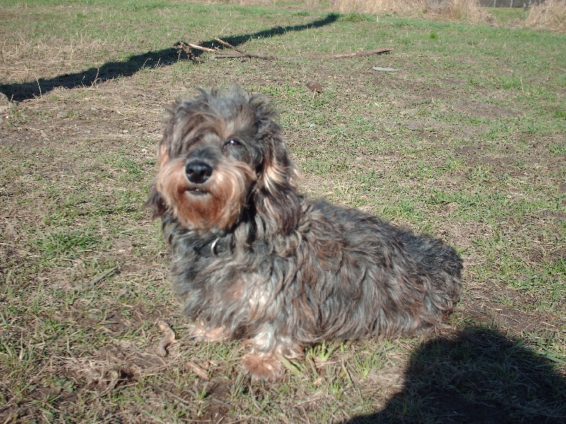 Publication : du fond des abyss Auteur : BALLEREAU NADIA