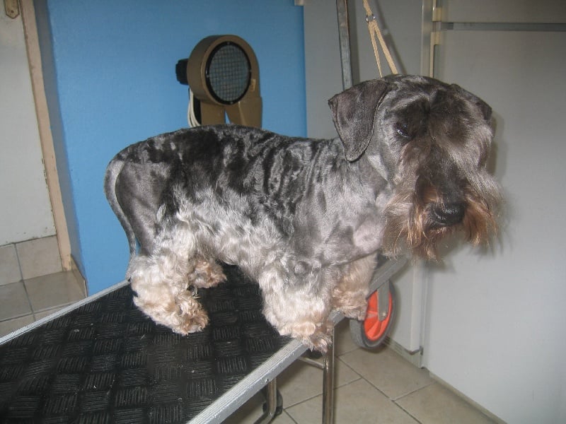 Publication : Des Diablotins De L'Ozon Auteur : Mme rochette