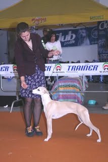 Publication : Hailhare