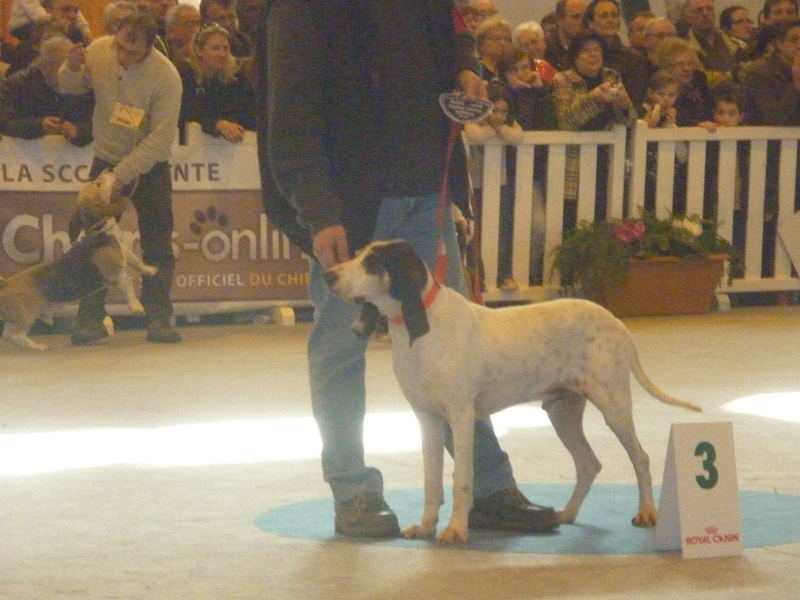 CH. Vagabond de l'Equipage val de Boeme