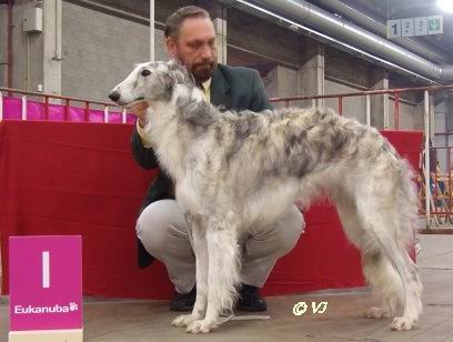 Publication : Van wisinskaja