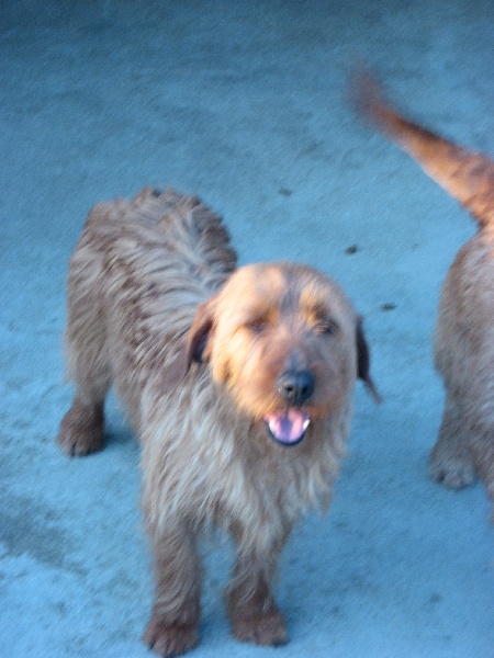 Uris du rallye de ramondens