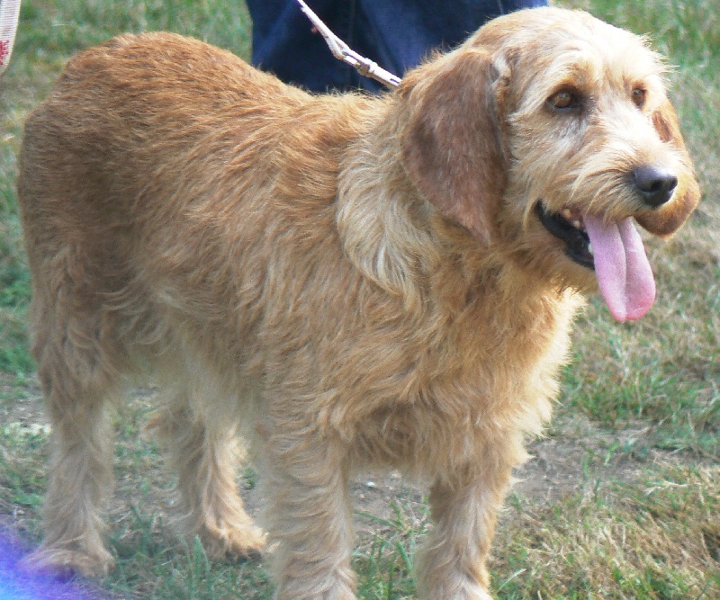 Publication : Des Capitelles Des Valorgues 