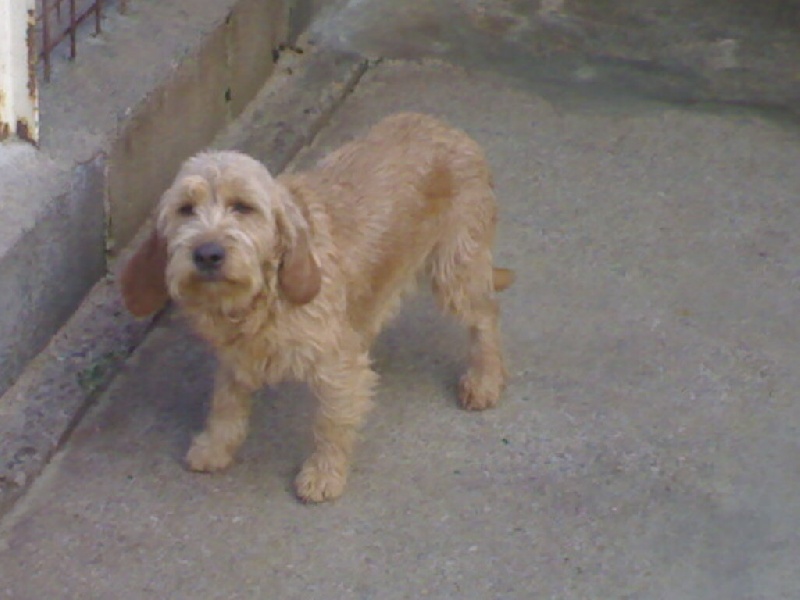 Sirene du rallye st paul