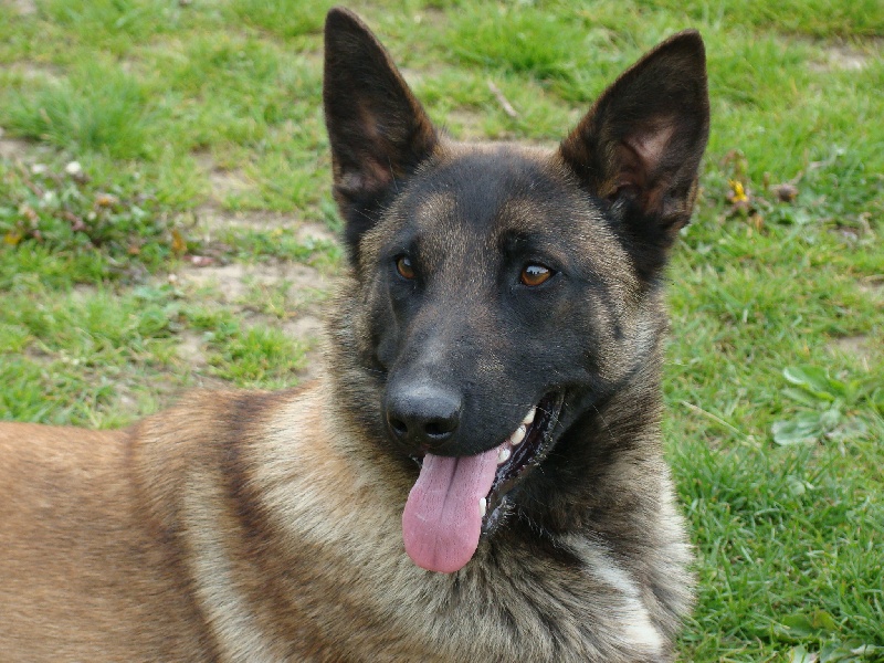 Publication : des sources de cuy Auteur : nathalie