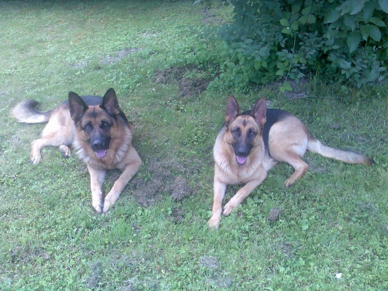 Candy des terres de Sax