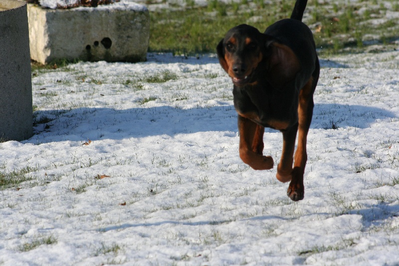 Publication : du Logis des Ormes Auteur : a. cordeau