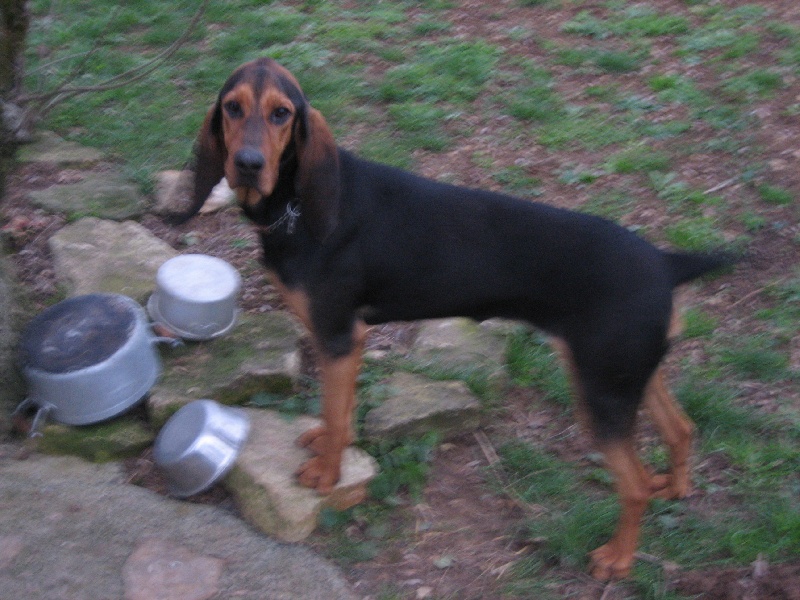 Bijou De la vallee du vignon