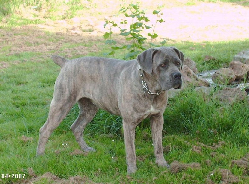 Publication : des Joyaux du Royaume Valyo Auteur : Valérie LEMAIRE