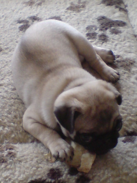 Publication : Of the kerala farm