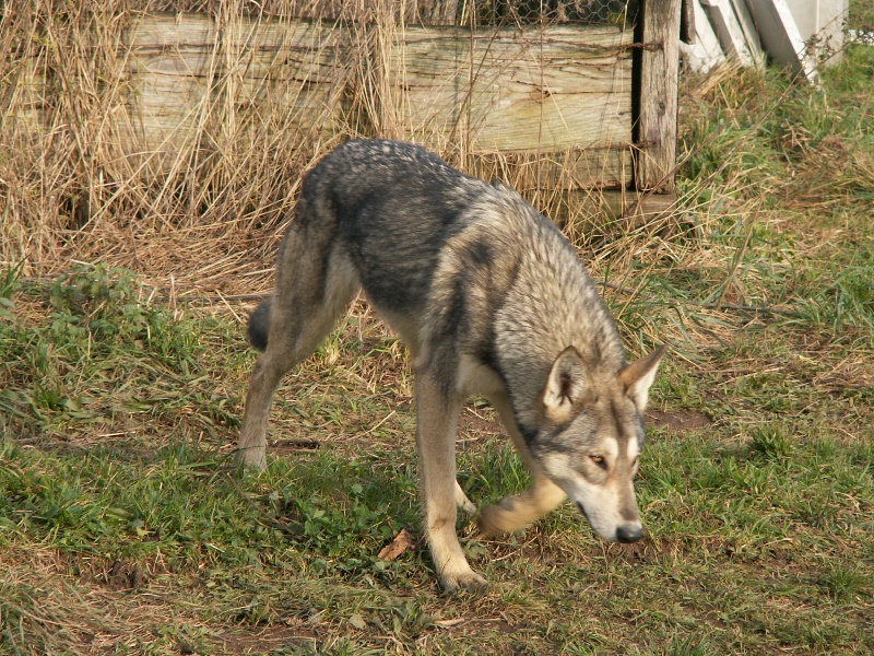 Deauville d'Emozioni Breizh