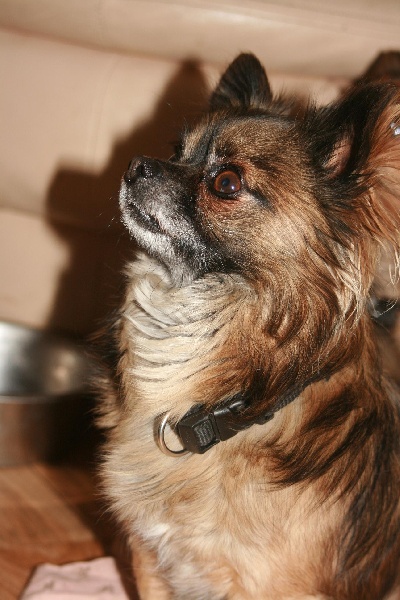 Publication : Du Pouvoir des Trois Auteur : BOURQUARD