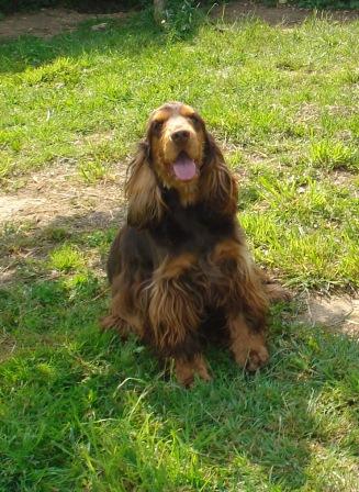 Publication : du Comté de la Marche Auteur : G Messagé